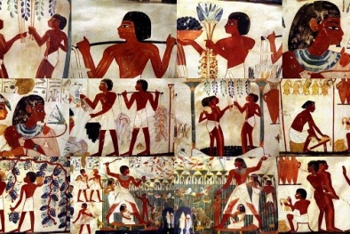 Người Ai Cập cổ đại thích ăn gì?